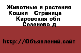 Животные и растения Кошки - Страница 3 . Кировская обл.,Сезенево д.